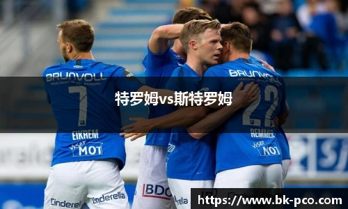 特罗姆vs斯特罗姆