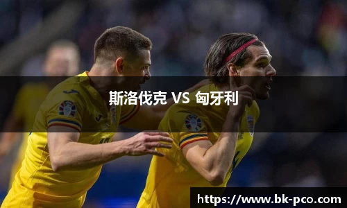 斯洛伐克 VS 匈牙利