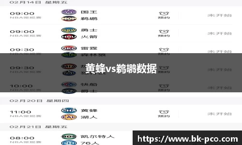 黄蜂vs鹈鹕数据