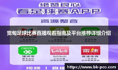 宽甸足球比赛直播观看指南及平台推荐详细介绍