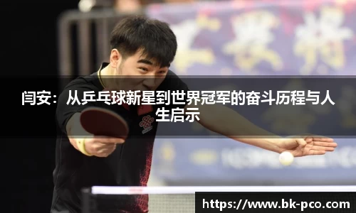 闫安：从乒乓球新星到世界冠军的奋斗历程与人生启示