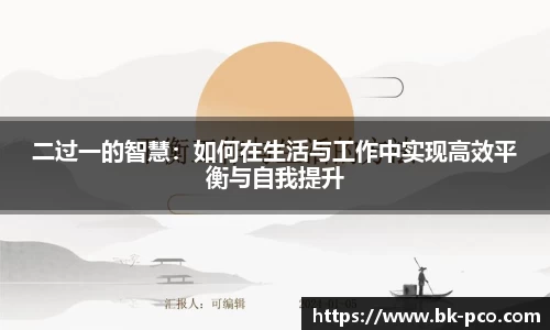 二过一的智慧：如何在生活与工作中实现高效平衡与自我提升